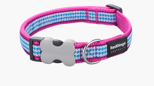Red Dingo 'Fang it Hot Pink' Collar