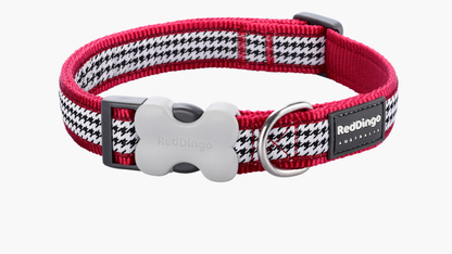 Red Dingo 'Fang it Red' Collar