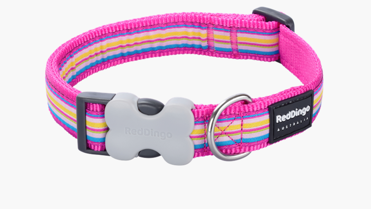 Red Dingo 'Horizontal Stripes Hot Pink' Collar