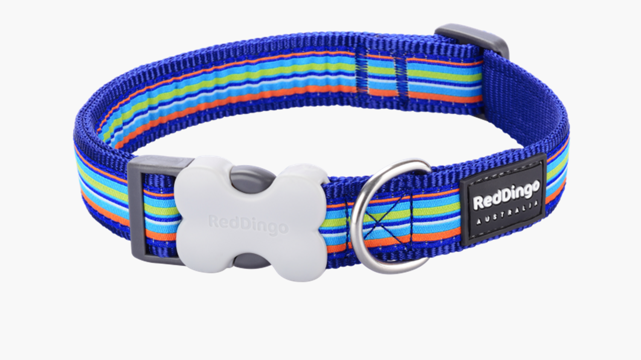 Red Dingo 'Horizontal Stripes Navy' Collar
