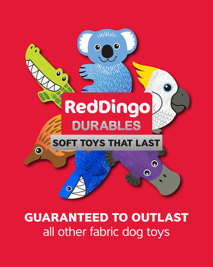 Red Dingo DURABLES - Shark