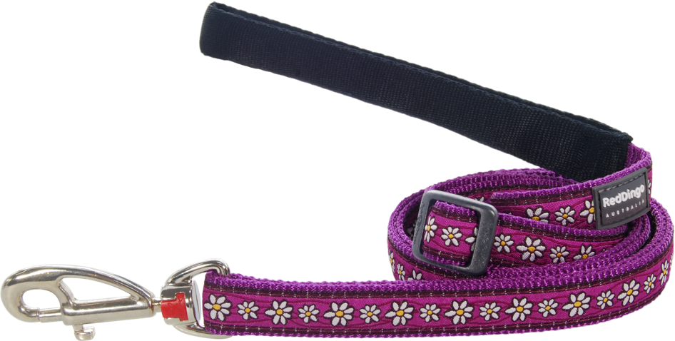Daisy Chain Purple Leads