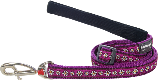 Daisy Chain Purple Leads