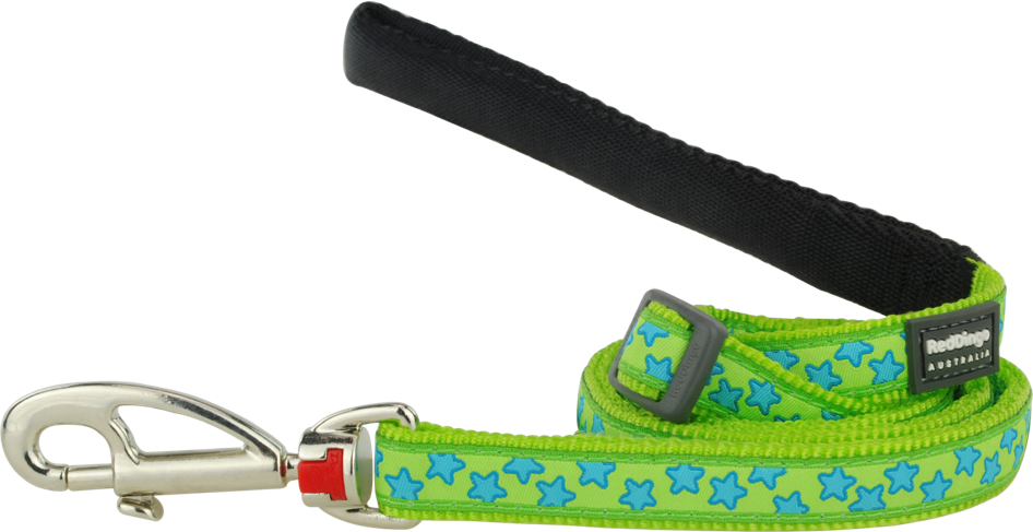 Stars Turquoise on Lime Green Leads