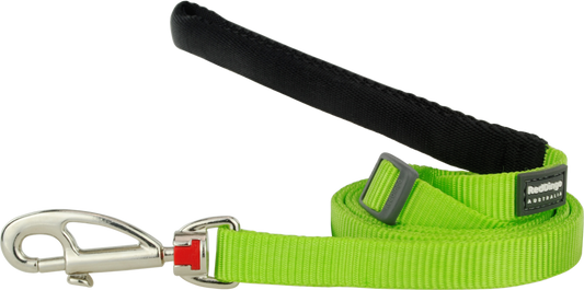Red Dingo 'Classic Lime Green' Lead