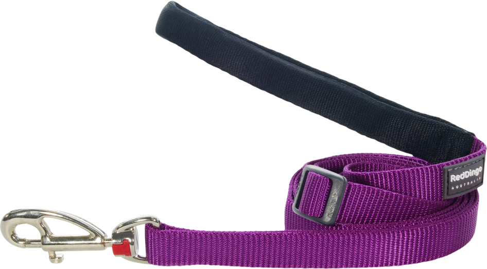 Classic Purple Leads