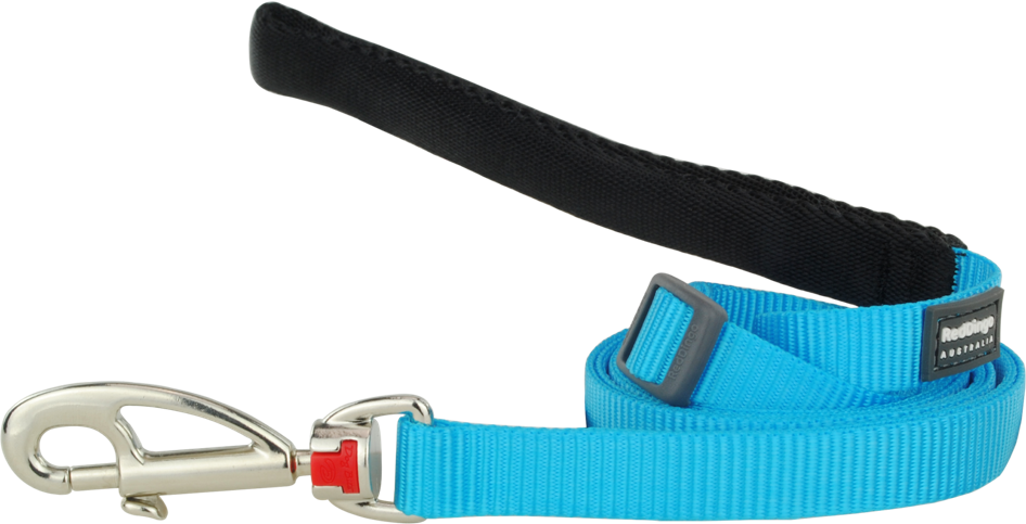 Classic Turquoise Leads