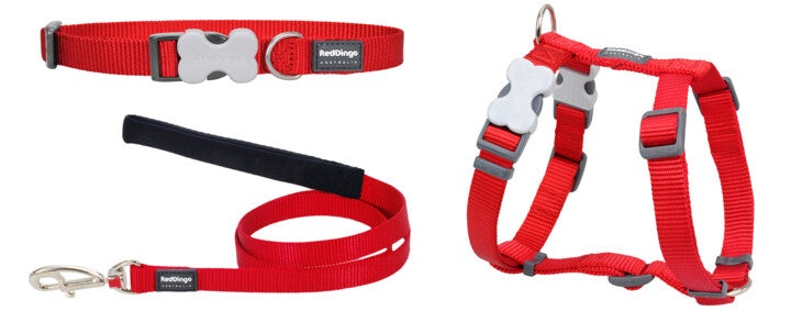 Red Dingo Puppy Pack - Classic Red