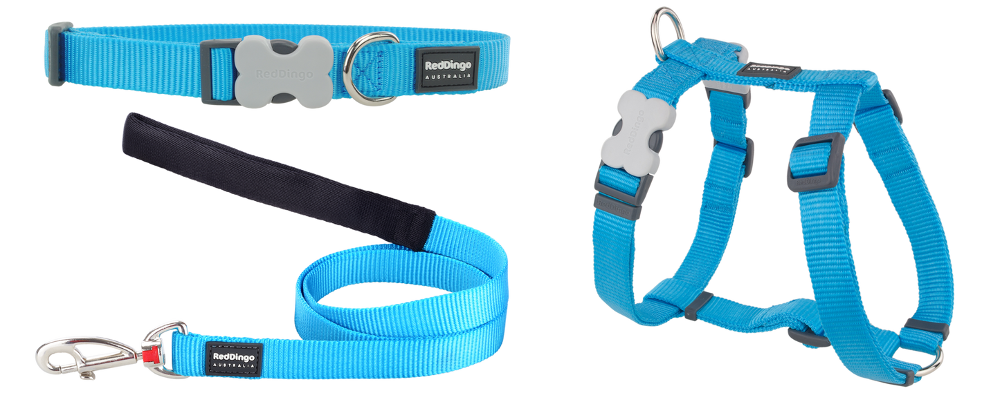 Red Dingo Puppy Pack - Classic Turquoise