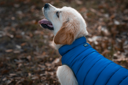 Neo-Fit Puffer Jacket - Navy / Turquoise Reversible
