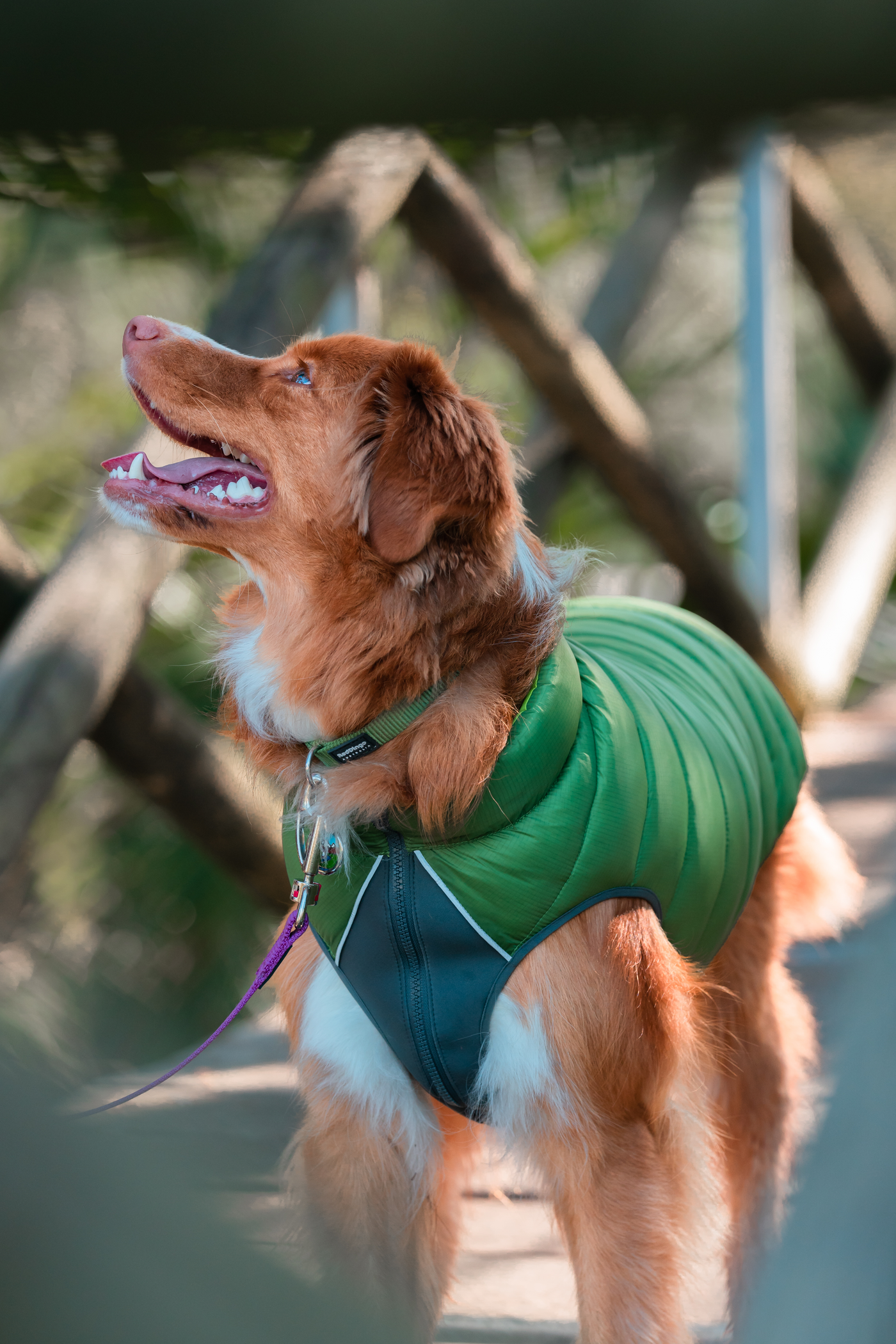 Neo-Fit Puffer Jacket - Green / Lime Reversible