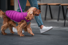 Load image into Gallery viewer, Neo-Fit Puffer Jacket - Plum / Hot Pink Reversible