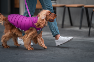 Neo-Fit Puffer Jacket - Plum / Hot Pink Reversible