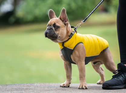 Neo-Fit Puffer Jacket - Yellow / Grey Reversible