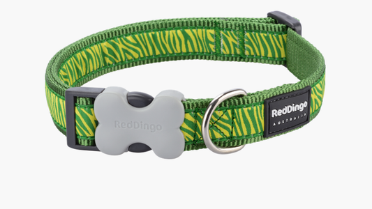 Red Dingo 'Safari Green' Collar