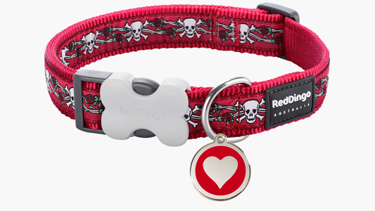 Red Dingo 'Skulls & Roses Red' Collar