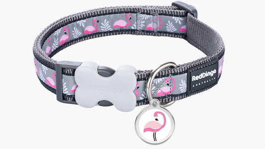 Red Dingo 'Flamingo Cool Grey' Collar