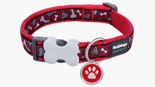 Red Dingo 'Bonarama Red' Collar