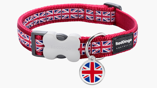 Red Dingo 'Union Jack Flag on Red' Collar