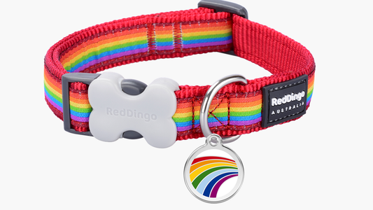 Red Dingo 'Rainbow Red' Collar