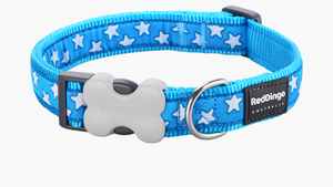 Red Dingo 'Stars White on Turquoise' Collar